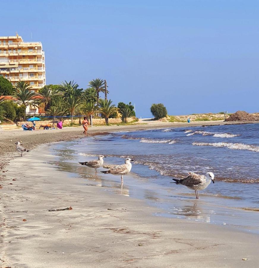 Sunflower Residence First Line By The Sea Santa Pola Luaran gambar